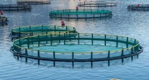 aquaculture industry